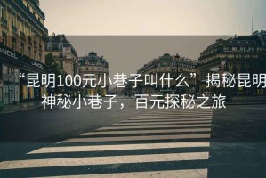 “昆明100元小巷子叫什么”揭秘昆明神秘小巷子，百元探秘之旅
