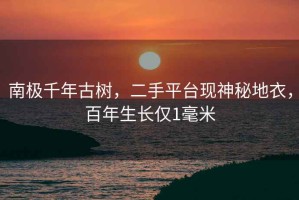 南極千年古樹，二手平臺現(xiàn)神秘地衣，百年生長僅1毫米