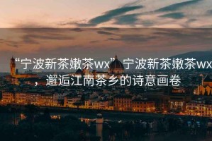 “寧波新茶嫩茶wx”寧波新茶嫩茶wx，邂逅江南茶鄉(xiāng)的詩(shī)意畫(huà)卷