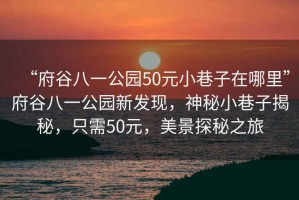 “府谷八一公園50元小巷子在哪里”府谷八一公園新發(fā)現(xiàn)，神秘小巷子揭秘，只需50元，美景探秘之旅