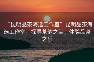 “昆明品茶海選工作室”昆明品茶海選工作室，探尋茶韻之美，體驗品茶之樂