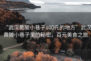 “武漢黃陂小巷子100元的地方”武漢黃陂小巷子里的秘密，百元美食之旅