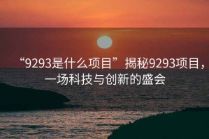 “9293是什么項(xiàng)目”揭秘9293項(xiàng)目，一場(chǎng)科技與創(chuàng)新的盛會(huì)