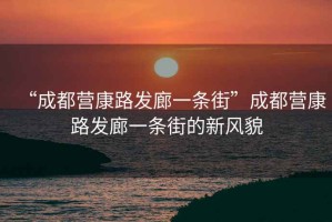 “成都營康路發(fā)廊一條街”成都營康路發(fā)廊一條街的新風貌