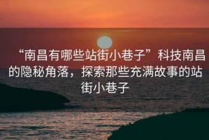 “南昌有哪些站街小巷子”科技南昌的隱秘角落，探索那些充滿(mǎn)故事的站街小巷子