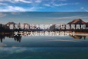 “番禺哪有站大街的”揭秘番禺真相，關(guān)于站大街現(xiàn)象的深度探討