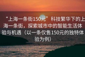 “上海一條街150元”科技繁華下的上海一條街，探索城市中的智能生活體驗與機遇（以一條僅售150元的獨特體驗為例）