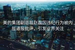 美的集團副總裁趙磊因違紀行為被內(nèi)部通報批評，引發(fā)業(yè)界關注