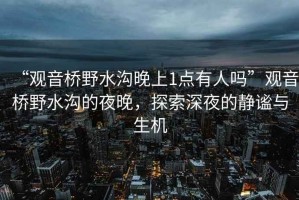 “觀音橋野水溝晚上1點(diǎn)有人嗎”觀音橋野水溝的夜晚，探索深夜的靜謐與生機(jī)