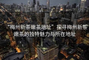 “梅州新茶嫩茶地址”探尋梅州新茶嫩茶的獨特魅力與所在地址
