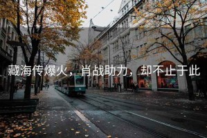 藏海傳爆火，肖戰(zhàn)助力，卻不止于此
