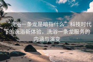 “洗浴一條龍是暗指什么”科技時(shí)代下的洗浴新體驗(yàn)，洗浴一條龍服務(wù)的內(nèi)涵與演變