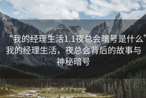 “我的經(jīng)理生活1.1夜總會(huì)暗號(hào)是什么”我的經(jīng)理生活，夜總會(huì)背后的故事與神秘暗號(hào)
