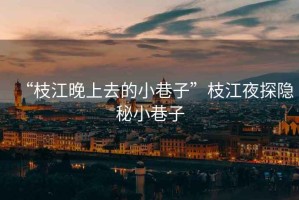 “枝江晚上去的小巷子”枝江夜探隱秘小巷子