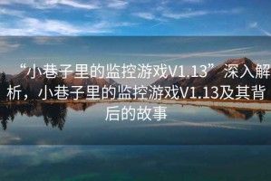 “小巷子里的監(jiān)控游戲V1.13”深入解析，小巷子里的監(jiān)控游戲V1.13及其背后的故事