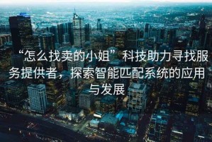 “怎么找賣的小姐”科技助力尋找服務提供者，探索智能匹配系統(tǒng)的應用與發(fā)展