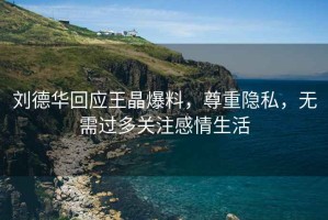 劉德華回應(yīng)王晶爆料，尊重隱私，無需過多關(guān)注感情生活