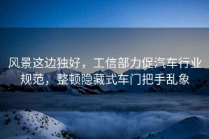 風(fēng)景這邊獨(dú)好，工信部力促汽車行業(yè)規(guī)范，整頓隱藏式車門把手亂象