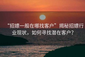 “招嫖一般在哪找客戶”揭秘招嫖行業(yè)現(xiàn)狀，如何尋找潛在客戶？