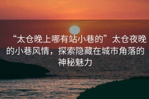 “太倉晚上哪有站小巷的”太倉夜晚的小巷風(fēng)情，探索隱藏在城市角落的神秘魅力
