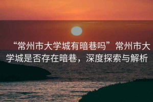 “常州市大學(xué)城有暗巷嗎”常州市大學(xué)城是否存在暗巷，深度探索與解析