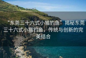 “東莞三十六式小貓釣魚”揭秘東莞三十六式小貓釣魚，傳統(tǒng)與創(chuàng)新的完美結(jié)合