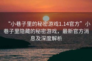 “小巷子里的秘密游戲1.14官方”小巷子里隱藏的秘密游戲，最新官方消息及深度解析