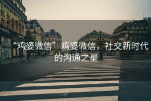“雞婆微信”雞婆微信，社交新時代的溝通之星