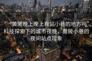 “黃陂晚上晚上有站小巷的地方嗎”科技探索下的城市夜晚，黃陂小巷的夜間站點(diǎn)現(xiàn)象