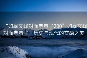 “如皋文峰對(duì)面老巷子200”如皋文峰對(duì)面老巷子，歷史與現(xiàn)代的交融之美