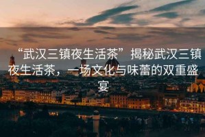 “武漢三鎮(zhèn)夜生活茶”揭秘武漢三鎮(zhèn)夜生活茶，一場文化與味蕾的雙重盛宴