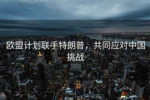 歐盟計劃聯(lián)手特朗普，共同應對中國挑戰(zhàn)