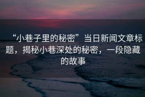 “小巷子里的秘密”當(dāng)日新聞文章標(biāo)題，揭秘小巷深處的秘密，一段隱藏的故事