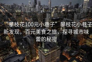 “攀枝花100元小巷子”攀枝花小巷子新發(fā)現(xiàn)，百元美食之旅，探尋城市味蕾的秘密