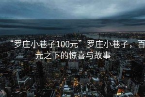 “羅莊小巷子100元”羅莊小巷子，百元之下的驚喜與故事