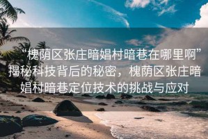 “槐蔭區(qū)張莊暗娼村暗巷在哪里啊”揭秘科技背后的秘密，槐蔭區(qū)張莊暗娼村暗巷定位技術(shù)的挑戰(zhàn)與應(yīng)對