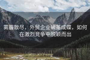 霧霾散盡，外貿(mào)企業(yè)破繭成蝶，如何在激烈競爭中脫穎而出