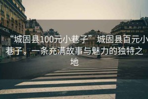 “城固縣100元小巷子”城固縣百元小巷子，一條充滿故事與魅力的獨(dú)特之地