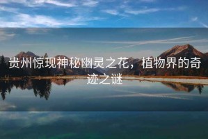 貴州驚現(xiàn)神秘幽靈之花，植物界的奇跡之謎