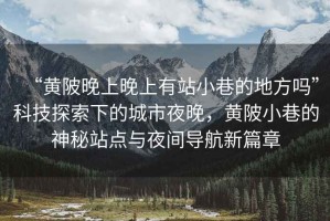 “黃陂晚上晚上有站小巷的地方嗎”科技探索下的城市夜晚，黃陂小巷的神秘站點(diǎn)與夜間導(dǎo)航新篇章