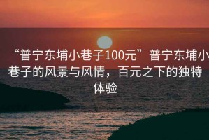 “普寧東埔小巷子100元”普寧東埔小巷子的風景與風情，百元之下的獨特體驗