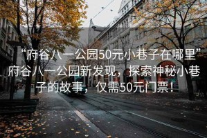 “府谷八一公園50元小巷子在哪里”府谷八一公園新發(fā)現(xiàn)，探索神秘小巷子的故事，僅需50元門票！