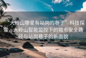 “大嶺山哪里有站崗的巷子”科技探索，大嶺山智能監(jiān)控下的城市安全路徑與站崗巷子的新面貌