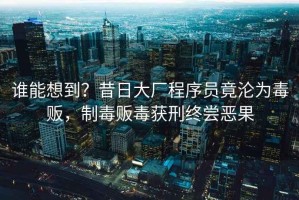 誰能想到？昔日大廠程序員竟淪為毒販，制毒販毒獲刑終嘗惡果