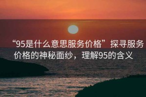 “95是什么意思服務(wù)價格”探尋服務(wù)價格的神秘面紗，理解95的含義