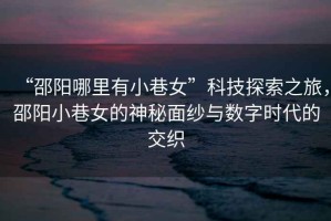 “邵陽(yáng)哪里有小巷女”科技探索之旅，邵陽(yáng)小巷女的神秘面紗與數(shù)字時(shí)代的交織