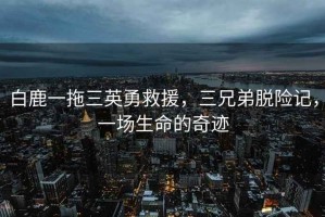 白鹿一拖三英勇救援，三兄弟脫險(xiǎn)記，一場(chǎng)生命的奇跡