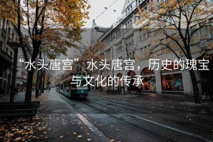 “水頭唐宮”水頭唐宮，歷史的瑰寶與文化的傳承