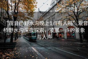 “觀音橋野水溝晚上1點(diǎn)有人嗎”觀音橋野水溝深夜探索，凌晨一點(diǎn)的景象與人聲