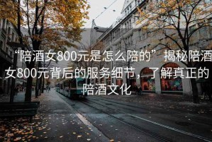 “陪酒女800元是怎么陪的”揭秘陪酒女800元背后的服務(wù)細節(jié)，了解真正的陪酒文化